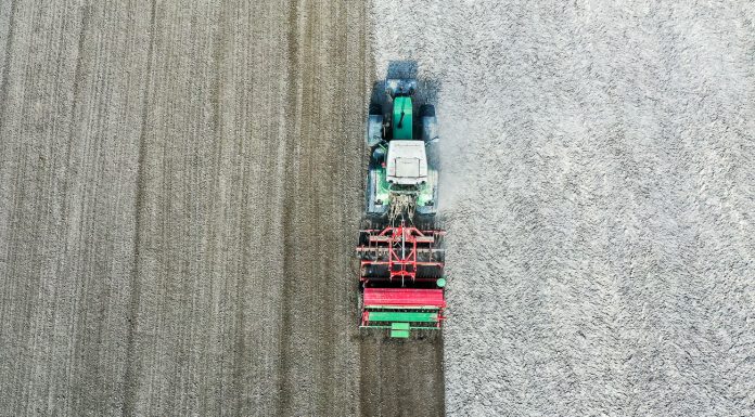 Akademia Poprawy Żyzności Gleby, cz. II – Jak powstaje próchnica