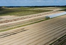 Malinowe Factory 2020 – będzie kontynuacja