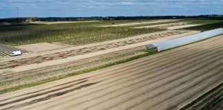 Malinowe Factory 2020 – będzie kontynuacja