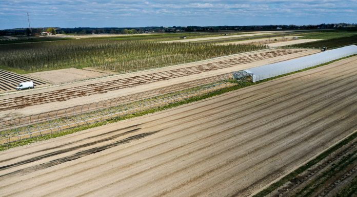Malinowe Factory 2020 – będzie kontynuacja