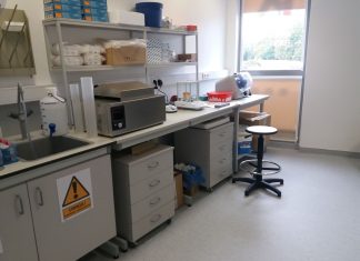 Gleba zmęczona wieloletnią uprawą malin. Co zrobić przed założeniem kolejnej plantacji?