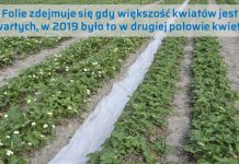 Programy nawożenia w przyspieszonej uprawie, sprawdzone w praktyce