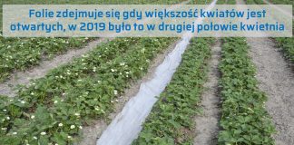 Programy nawożenia w przyspieszonej uprawie, sprawdzone w praktyce