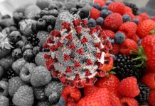 Branża AGRO w świecie „COVID 19”