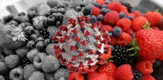 Branża AGRO w świecie „COVID 19”