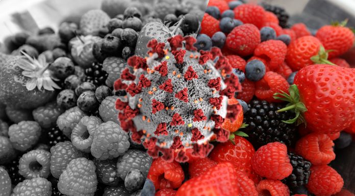 Branża AGRO w świecie „COVID 19”