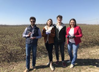 Superowoce dla Bohaterów. Plantatorzy wspierają pracowników ochrony zdrowia