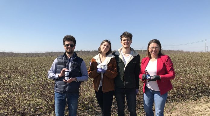 Superowoce dla Bohaterów. Plantatorzy wspierają pracowników ochrony zdrowia