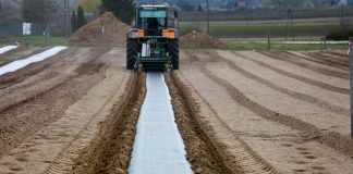 Borówkowe Factory 2020 – formowanie zagonów do sadzenia borówki