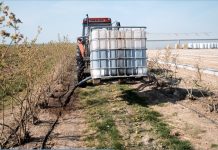 Borówkowe Factory 2020 – poprawa żyzności gleby na rosnącej plantacji