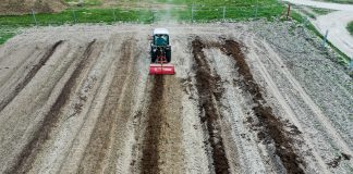 Borówkowe Factory – największy projekt doświadczalny w Europie