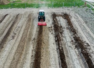 Borówkowe Factory – największy projekt doświadczalny w Europie