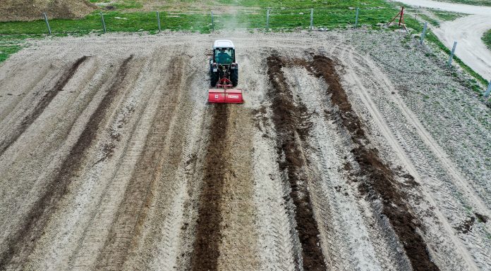 Borówkowe Factory – największy projekt doświadczalny w Europie