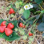 FE_1711 (6)