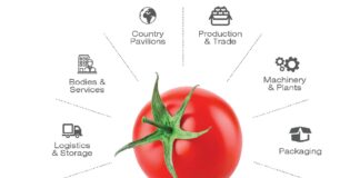 Macfrut Digital – cyfrowa edycja Macfrut 2020