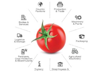 Macfrut Digital – cyfrowa edycja Macfrut 2020