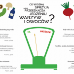 Nowalijki (3)