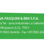 Pasquini