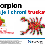 bannery jagodnik – v1_Scorpion_truskawki