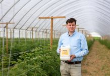 Lepsze odżywienie malin w projekcie Malinowe Factory 2020