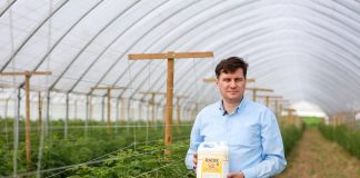 Lepsze odżywienie malin w projekcie Malinowe Factory 2020