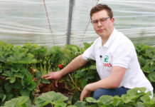 Truskawki w podłożu kokosowym i ochrona bez chemicznych środków. FILM