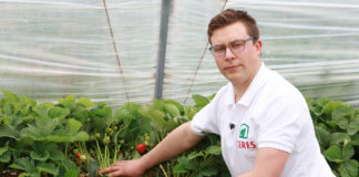 Truskawki w podłożu kokosowym i ochrona bez chemicznych środków. FILM