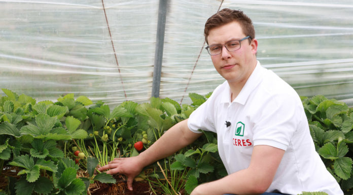 Truskawki w podłożu kokosowym i ochrona bez chemicznych środków. FILM