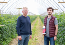 Nawożenie wapniowe malin i biostymulacja z wykorzystaniem fertygacji. FILM