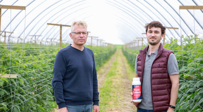Nawożenie wapniowe malin i biostymulacja z wykorzystaniem fertygacji. FILM