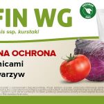 Agrosimex_DELFIN_WG_WARZYWA_banner_www_620x300_28-05-2020
