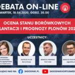 Debata borówkowa