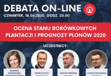 DEBATA ON-LINE| Ocena stanu borówkowych plantacji i prognozy plonów 2020