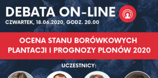 DEBATA ON-LINE| Ocena stanu borówkowych plantacji i prognozy plonów 2020