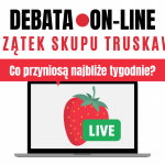 Debata on-line2 (2)
