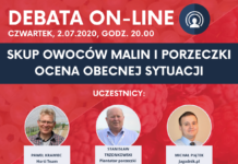 DEBATA ON-LINE| Skup owoców malin i porzeczki. Ocena obecnej sytuacji