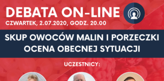 DEBATA ON-LINE| Skup owoców malin i porzeczki. Ocena obecnej sytuacji
