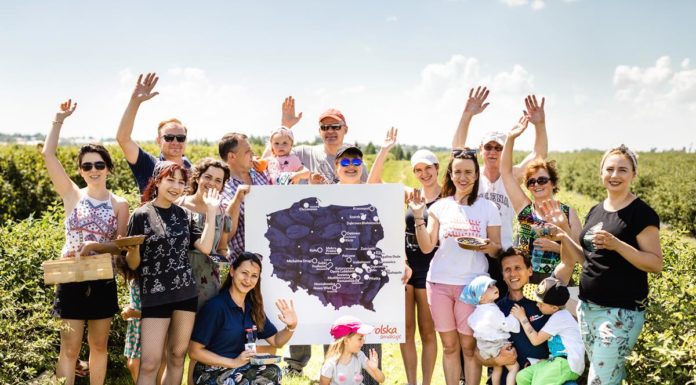 Zapraszamy całe rodziny na plantacje jagody kamczackiej