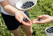 Czy warto jeść jagody kamczackie? Sprawdź!