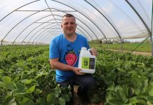 Podsumowanie żywienia i biostymulacji truskawek w tunelach