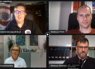 Jaki będzie borówkowy sezon 2020? Podsumowanie debaty internetowej