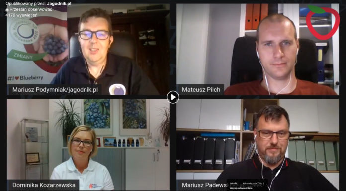 Jaki będzie borówkowy sezon 2020? Podsumowanie debaty internetowej