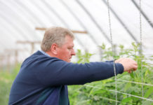 Ochrona bez pozostałości – borówka i malina