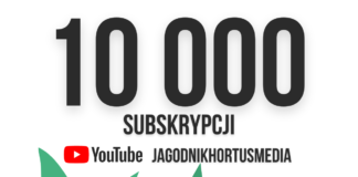 10 000 subskrypcji na kanale JAGODNIKHORTUSMEDIA! Dziękujemy!