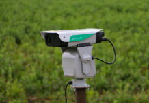 Oceniamy skuteczność lasera do odstraszania ptaków