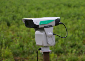 Oceniamy skuteczność lasera do odstraszania ptaków