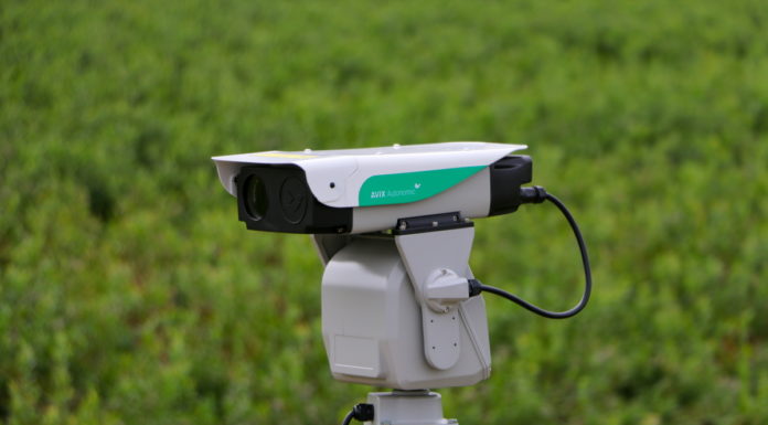 Oceniamy skuteczność lasera do odstraszania ptaków