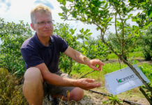 Borówkowe Factory – co jeszcze warto zrobić przed zbiorami borówki