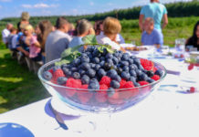 Z borówką na stole
