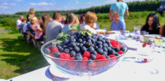 Z borówką na stole